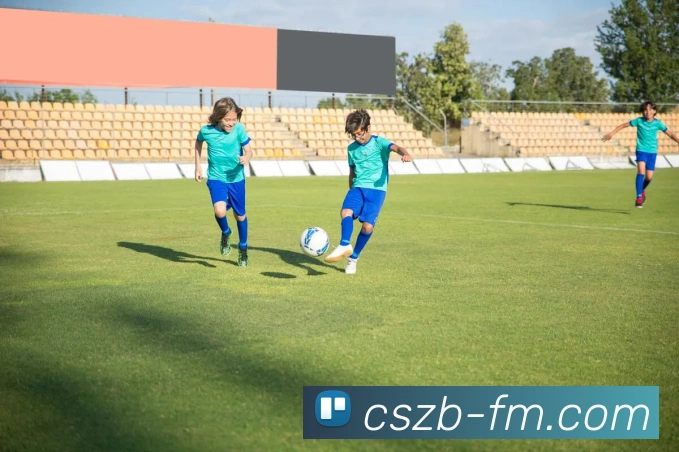 辅助工具 辅助工具